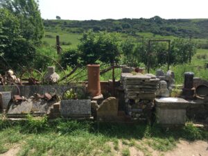 tyneham village farm