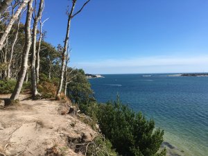brownsea island sea view