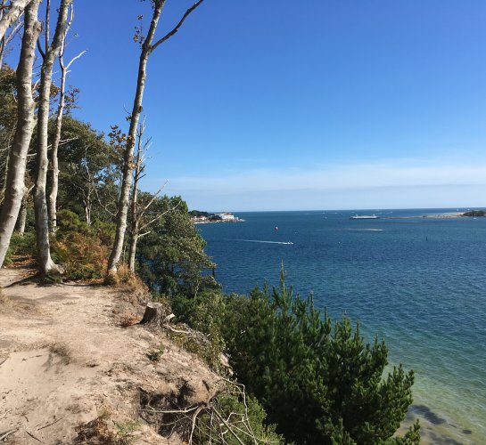 brownsea island sea view