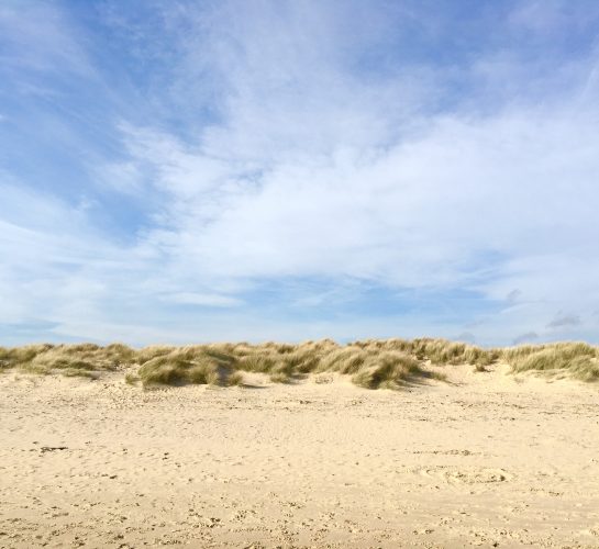 sand dunes at knoll beach studland bat