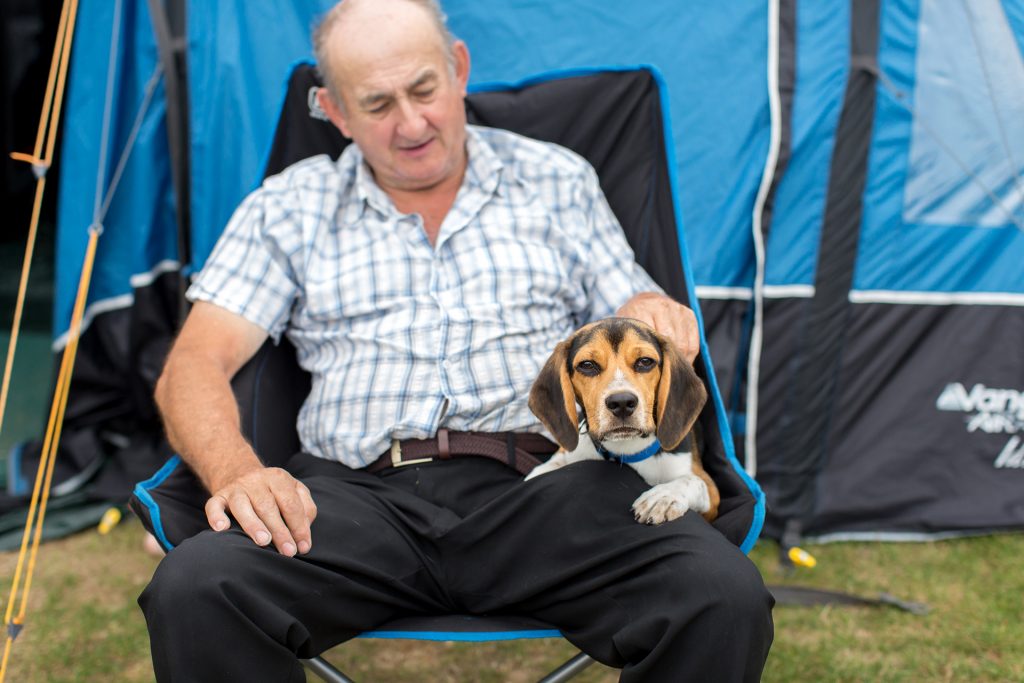 dog friendly camping at ulwell holiday park