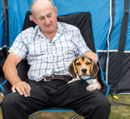 dog friendly camping at ulwell holiday park