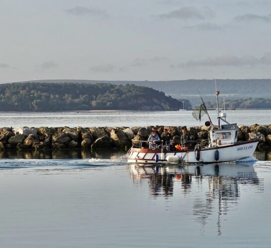 fishing boat poole harbour