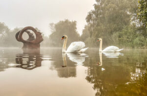 Sculpture and swans